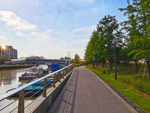 蘇州河畔風景如畫的公園