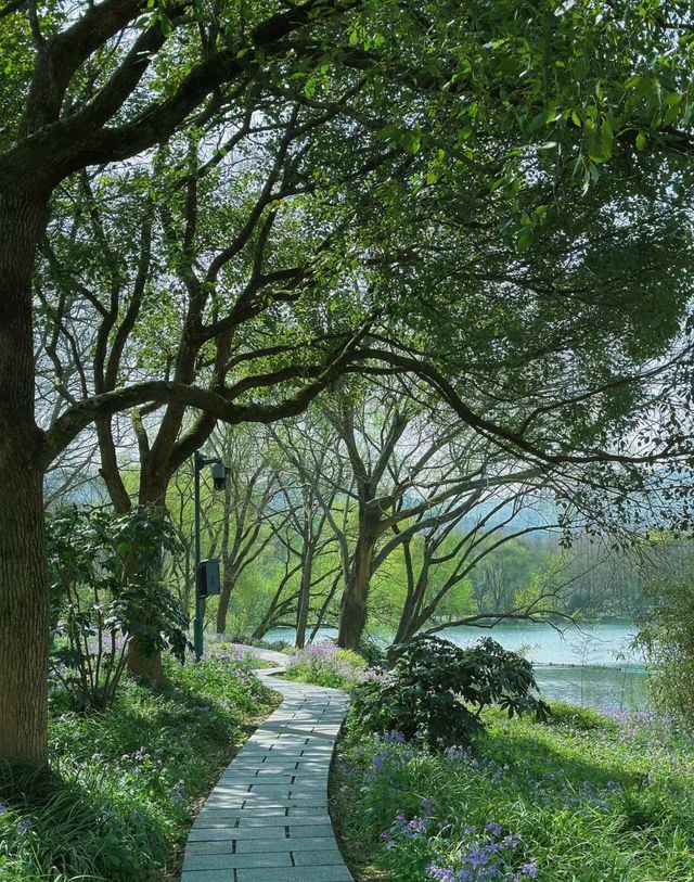 春遊記！杭州西湖的春天美到失語！！