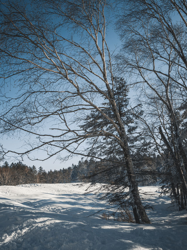 雪地徒步｜老里克湖滿足了我對冰雪童話幻想