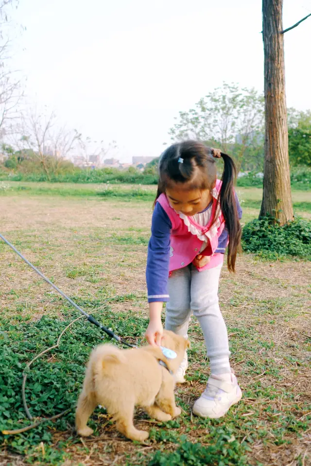 Spring Outing Memoir | Live Flower Blooming! University Town Flower Viewing, Greenery Strolling, Child Walking, and Camping