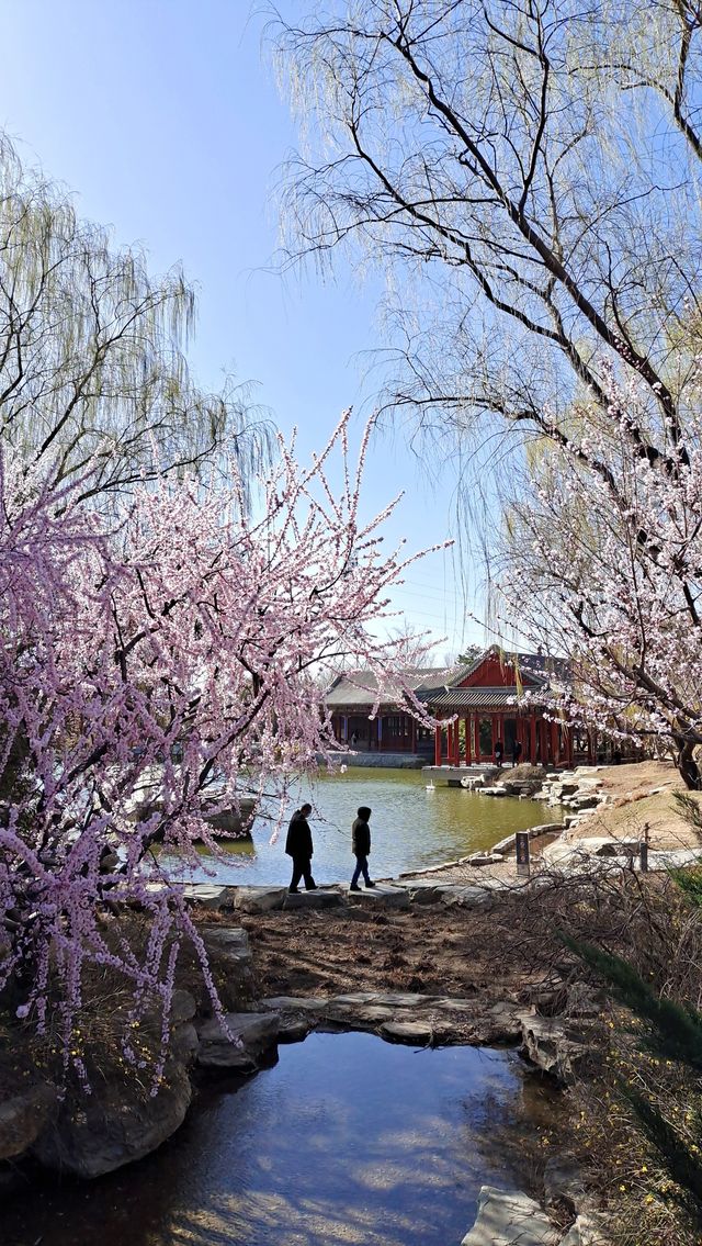 中國園林博物館賞春