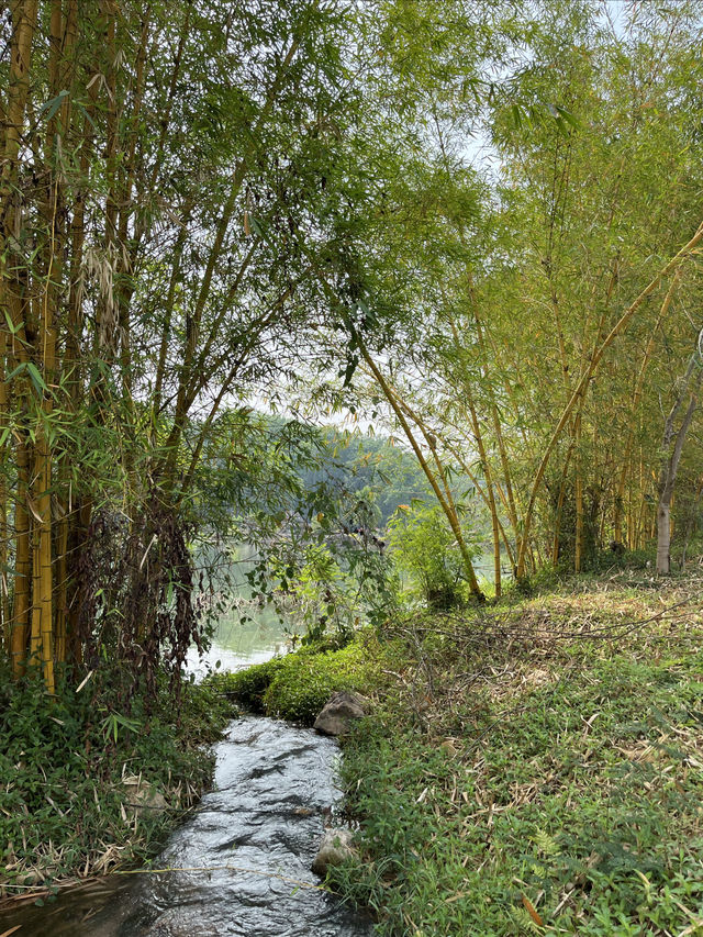 西雙版納熱帶花卉園