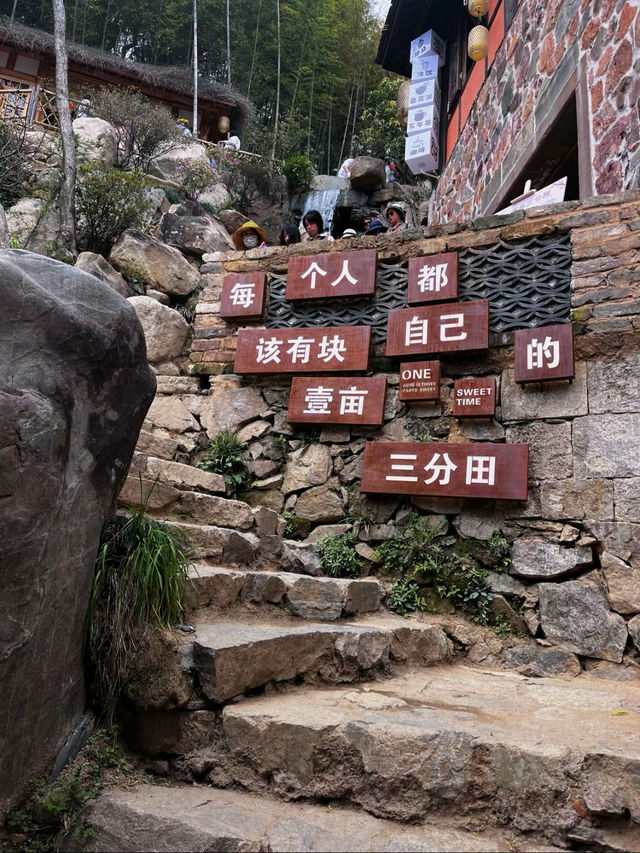 篁嶺曬秋看了，再不來就光禿禿了