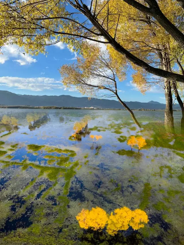 I thought Erhai Lake was already beautiful! Until I went to Jian Lake! Absolutely stunning!