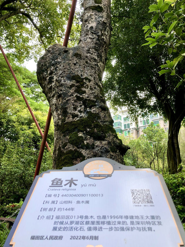 筆架山公園