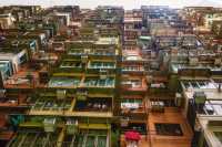 香港六十年代的建築、變形金剛拍攝地「怪獸大廈」