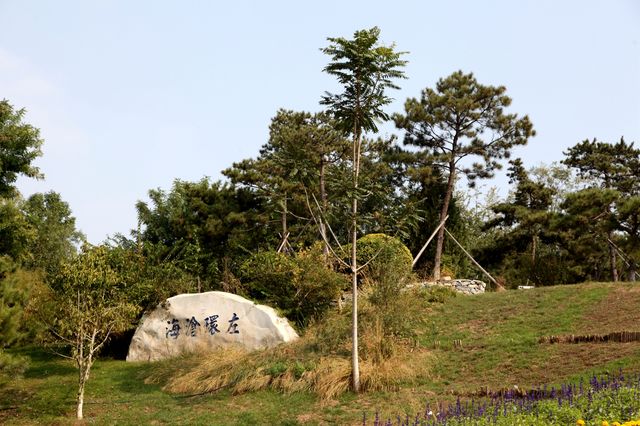 昔日垃圾坑，今日移步換景大花園