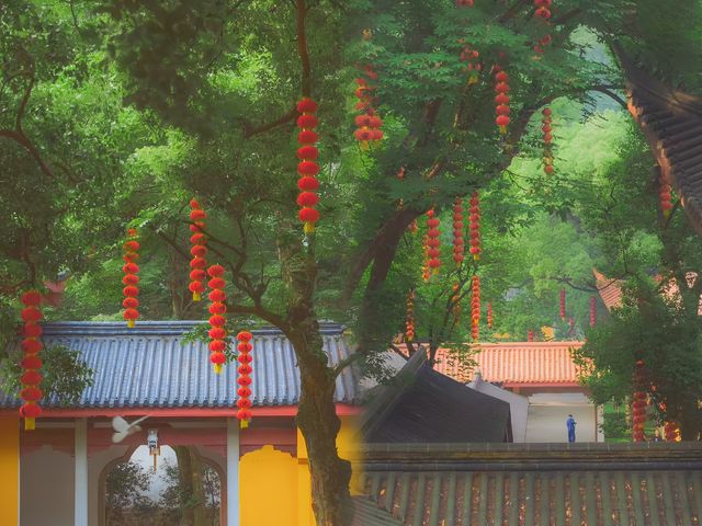 杭州法喜寺|以為西湖很美了，直到我去了法喜寺！