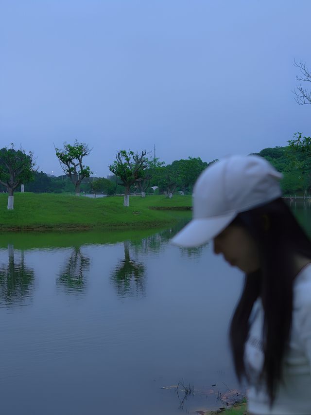 東莞寶藏露營地，松山湖水杉生態露營之旅