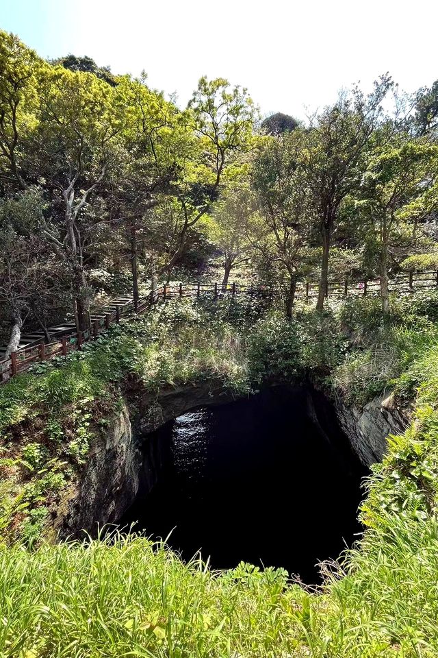 日本溫泉海景勝地|伊豆半島（1696）