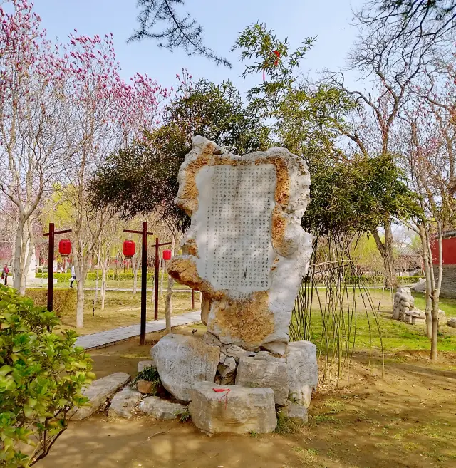 ดราก้อนไรส์การ์เด้น