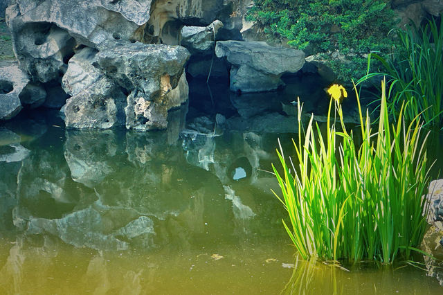 曲徑通幽自有處，江南園林畫屏中