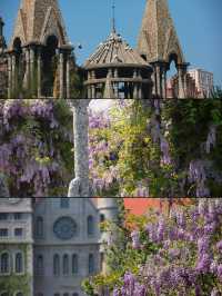 霍格沃茨城堡+最美紫藤花瀑布