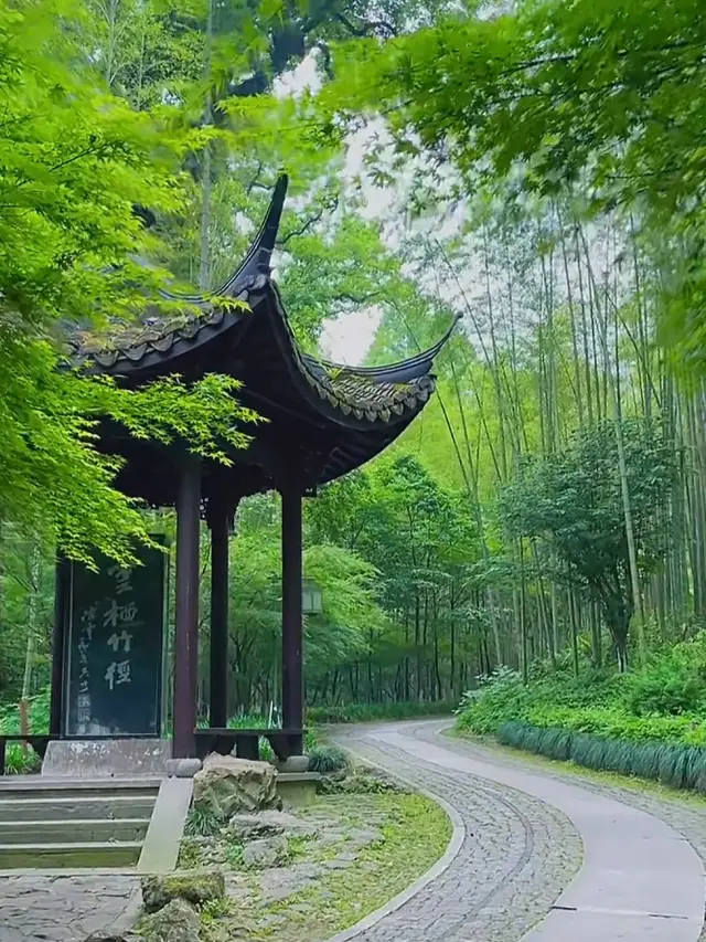 May Day Travel Guide | Yunqi Bamboo Path in Hangzhou