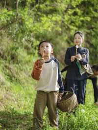 杏林山居｜秦嶺新開的避世民宿，有被驚喜到