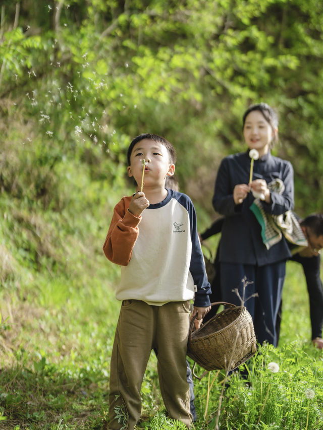 杏林山居｜秦嶺新開的避世民宿，有被驚喜到