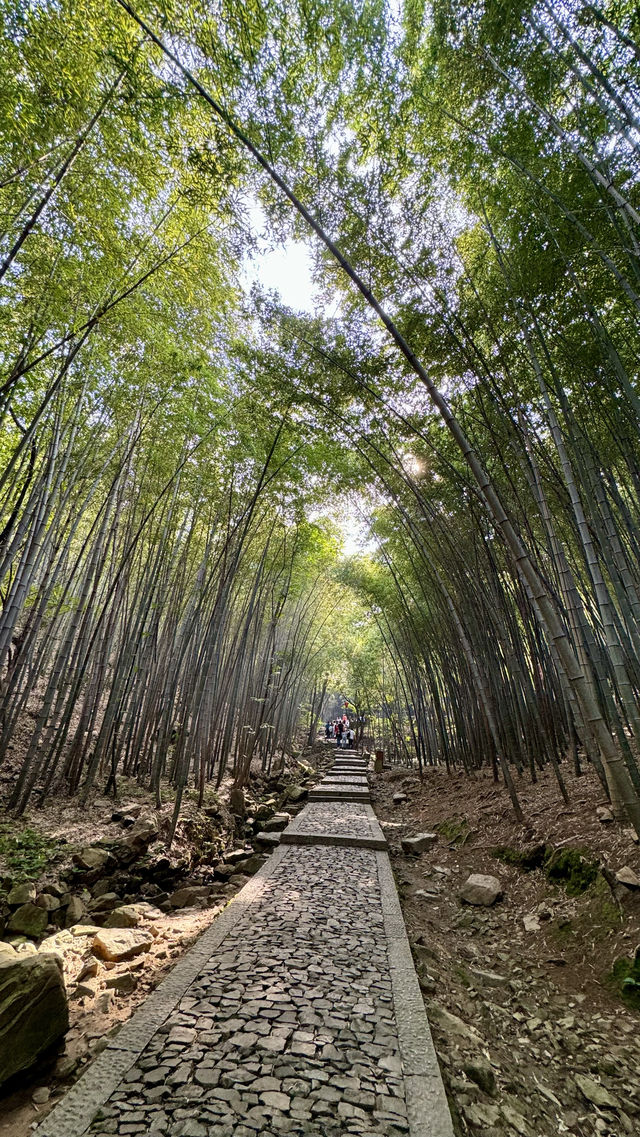 蘇州深度遊（由西向東）