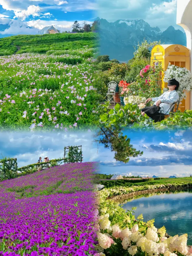 Lijiang Tinghua Valley is a tourist attraction that integrates natural scenery, flower viewing, and cultural experiences