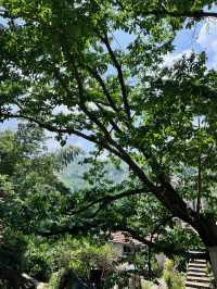 安吉歸舍｜夏天溯溪好去處