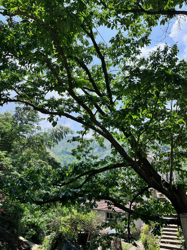 安吉歸舍｜夏天溯溪好去處