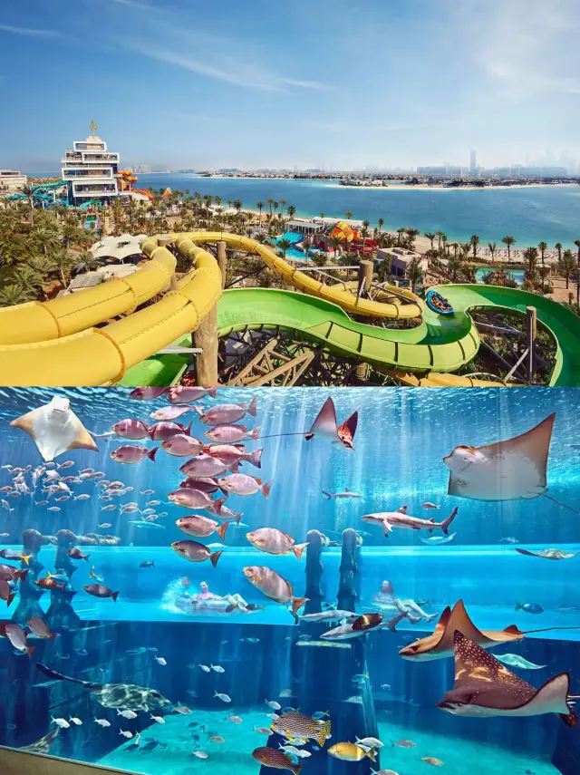 阿聯酋十大主題樂園:亞特蘭蒂斯水上樂園。