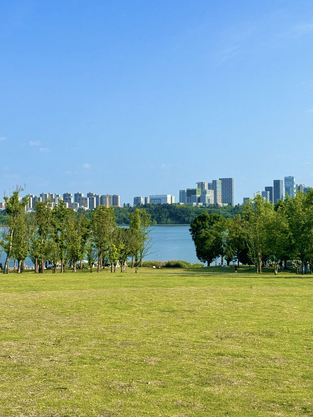 成都周邊遛娃|地鐵實現看海露營自由!