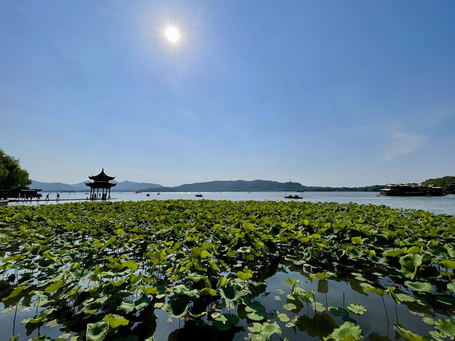 上海杭州安吉