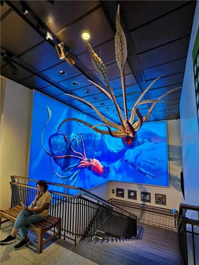 Explore the Houston Museum of Natural Science: A Wonderful Journey Through Time