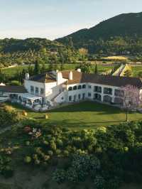 🌟 Setubal's Hidden Gem: Casa Palmela Hotel 🏰✨