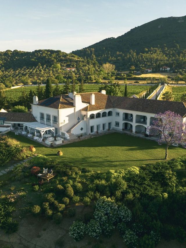 🌟 Setubal's Hidden Gem: Casa Palmela Hotel 🏰✨