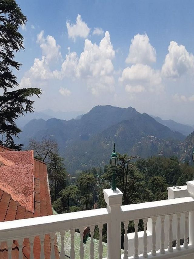 Shimla's Serenity & Luxury Unveiled 🌄✨