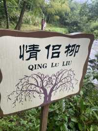 到金寨的優質路線