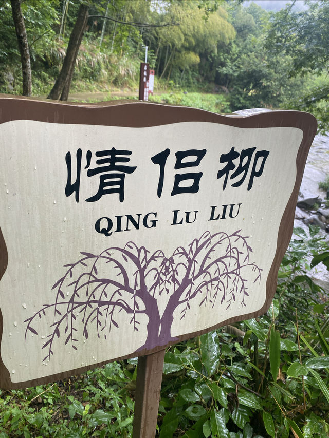 到金寨的優質路線