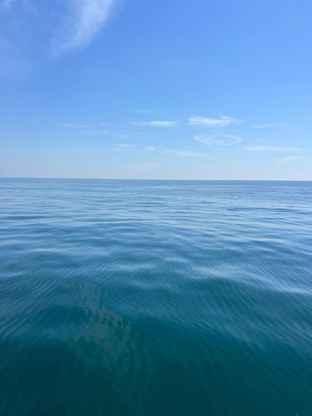 台山島 島嶼遊玩～～～