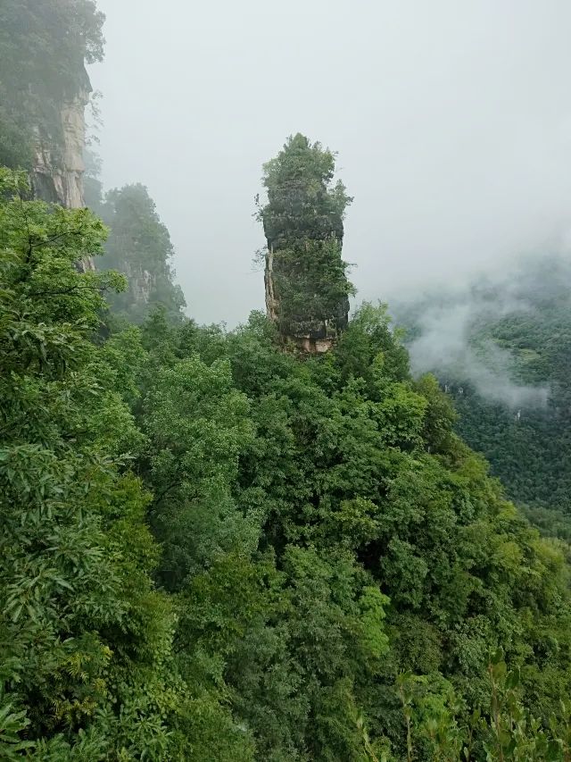 發現一個寶藏旅遊地～九路寨|打卡保康九路寨生態旅遊區