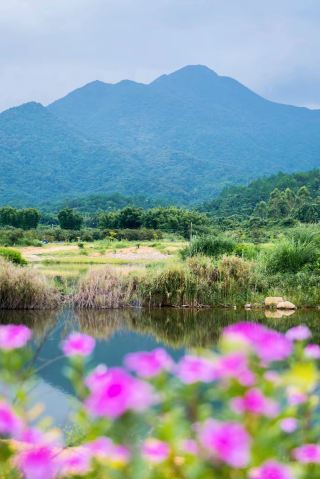 This stunning valley and lake bay in Heyuan, Guangdong, is like a paradise on earth