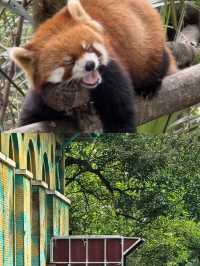 哈爾濱北方動物園，暑假溜娃好去處