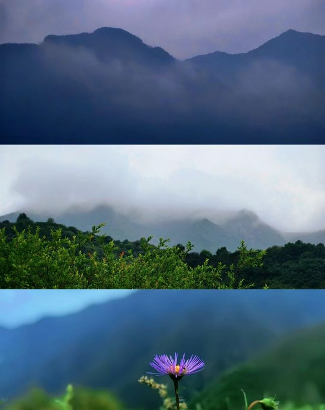 青海民和|夏天就要去浪山