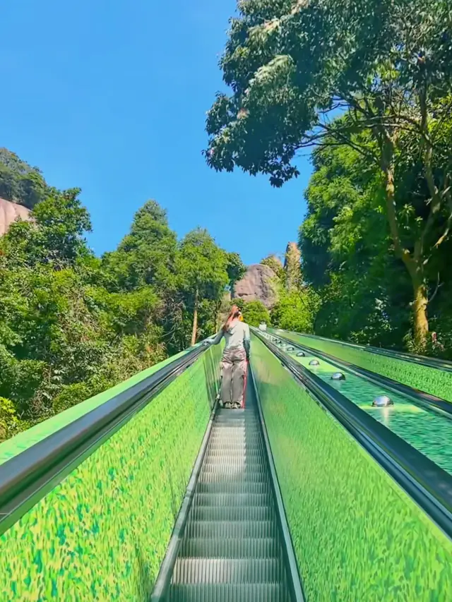 無痛爬山，沉浸趕海，寧德小眾一日遊