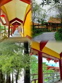 佛山三水森林公園｜免費感受天然氧吧