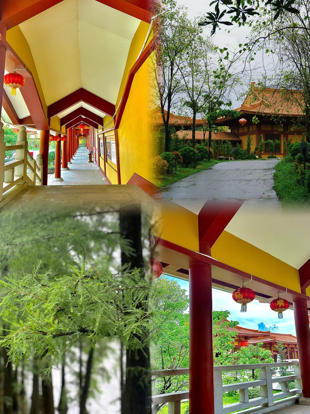 佛山三水森林公園｜免費感受天然氧吧