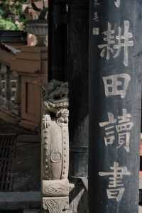 深圳高顏值小眾免費博物館，趁它爆火前快去