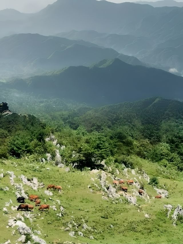 北陽山秘境之旅 西安周邊隱世仙境大揭秘！