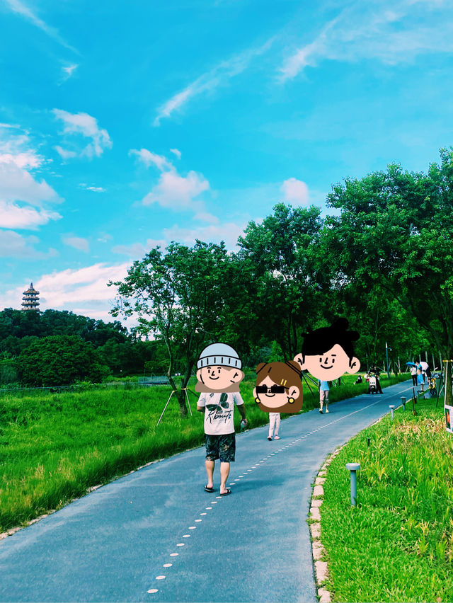 一面是湖，一面是塔，西麗湖環湖綠道美絕了！