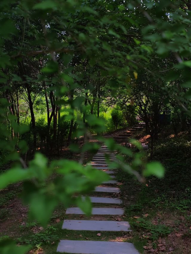 鄭州這個新開放的濕地公園簡直贏麻了。