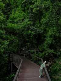深圳秘境！森林綠道探險🌳