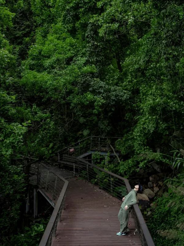 深圳秘境！森林綠道探險🌳