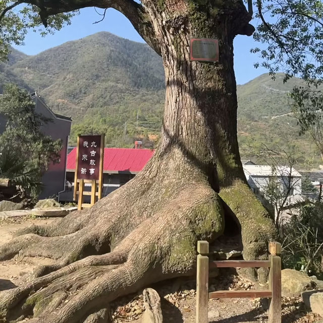 湖北黄石上冯古村｜九古奇村神秘面紗。