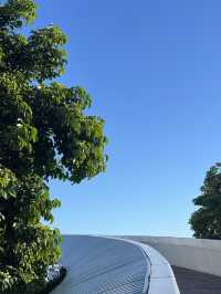 深圳夏日浪漫🎡摩天輪吹海風、看日落