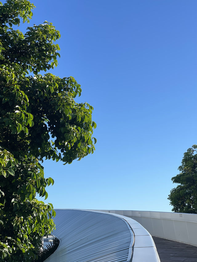 深圳夏日浪漫🎡摩天輪吹海風、看日落